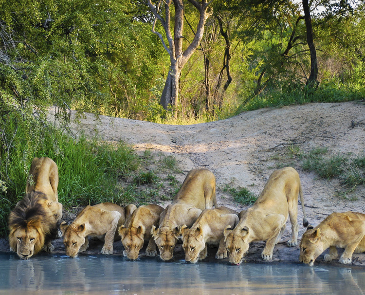 Serengeti-National-Park